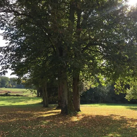 Holiday home Chateau De Romecourt Tarquimpol