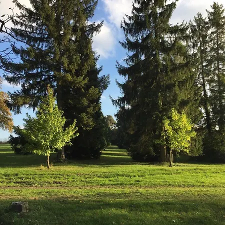 Holiday home Chateau De Romecourt Tarquimpol